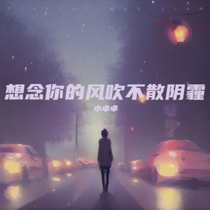 想念你的风吹不散阴霾 (伴奏)