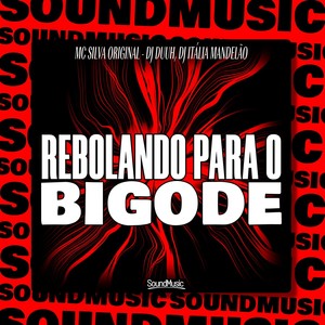 REBOLANDO PARA O BIGODE (Explicit)