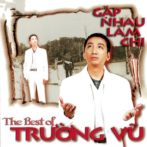 The Best of Trường Vũ