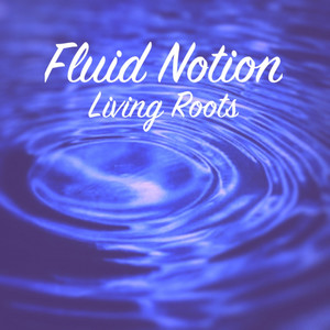 Fluid Notion