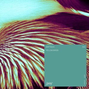 Yellow Birds (Boy Oh Boy & Paons Remix)