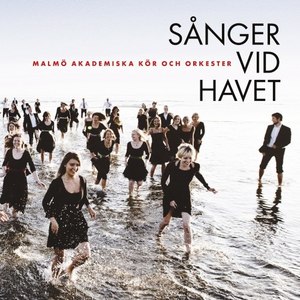 Havets visa