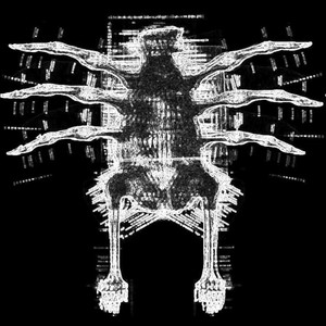 Avar // Nem ettem (Alprite Remix)