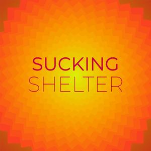 Sucking Shelter