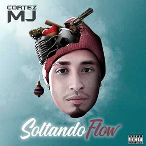 Soltando Flow (Explicit)