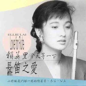 少女情怀总是诗
