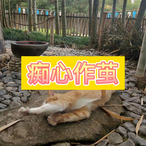 伤心的雪花 (阳光版)