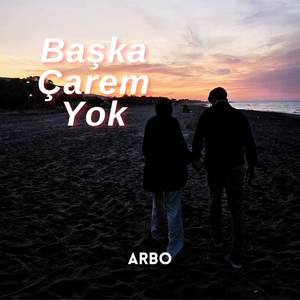 Başka Çarem Yok