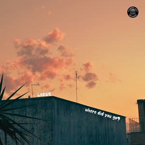 where did you go? (Extended Mix)