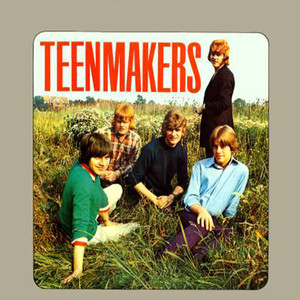 Teenmakers - I'm So Happy Now