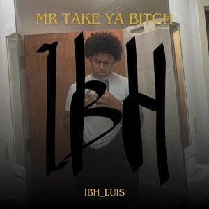 Mr Take Ya ***** (Explicit)