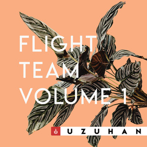 Flight Team Volume 1