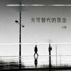 无可替代的思念封面