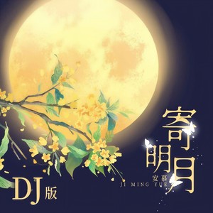 寄明月 (DJ版)