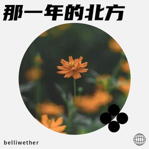 那一年的北方