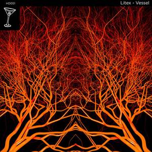 Vessel (Daniel Allen Remix)