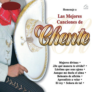 Homanaje a las Mejores Canciones de Chente