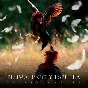 Pluma, Pico Y Espuela