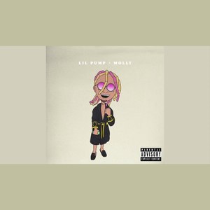 lil pump - Molly（Instrumental Remake）