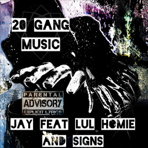 20 Gang Music (feat. LuL Homie & Signs) [Explicit]