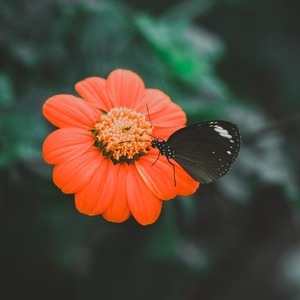 Stay With Me (LaRry Rong|Derek remix)