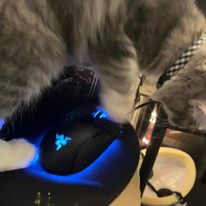 **** Fame (feat. LuckyStar7 & Jxseph)