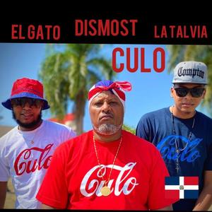 Culo (feat. El Gato & La Talvia)