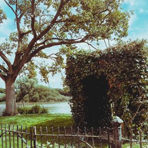 Sunday Afternoon (Explicit)