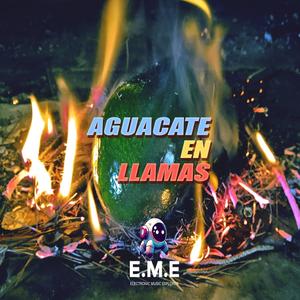 Aguacate en llamas (feat. Pablo Lacasta)