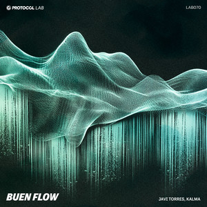 Buen Flow (Extended Mix)