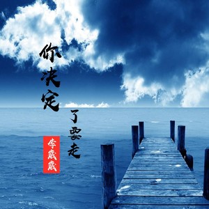 你决定了要走