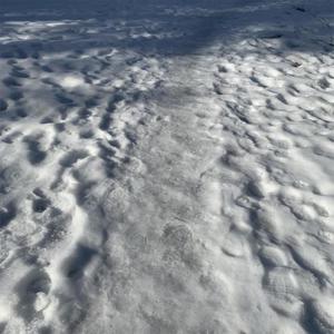 Always Snow