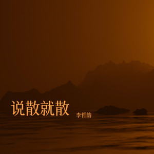 追光者Remix (李哲韵 remix)