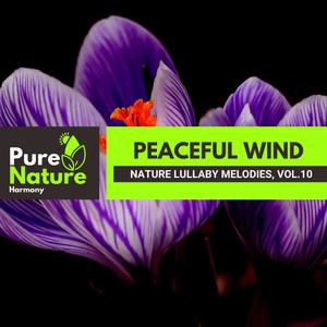 Peaceful Wind - Nature Lullaby Melodies, Vol.10