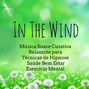 In The Wind - Música Suave Curativa Relaxante para Técnicas de Hipnose Saúde Bem Estar Exercício Mental com Sons da Natureza Instrumentais de Meditação Consciente