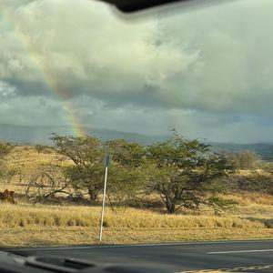 going forward (2023)