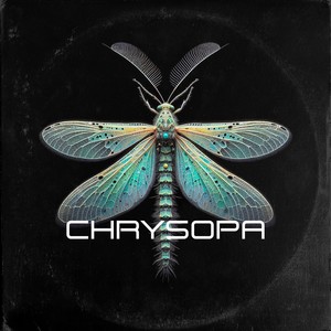 Chrysopa