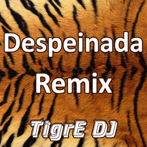 Despeinada (Remix)