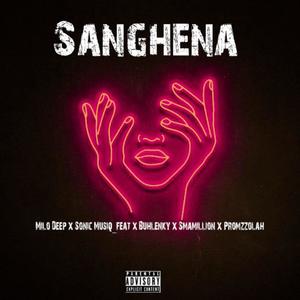 Sanghena (feat. Smamillion, Buhlenky, Promzzolah & Sonic Musiq)