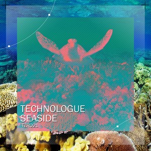 Seaside (Seddy Stephard Remix)