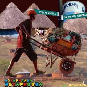 Ngyaphanda Ngyaphusha (feat. Phuzekhemisi) (Explicit)
