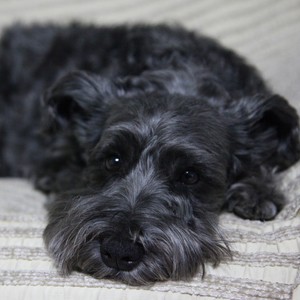 江湖社会武林她妞姐