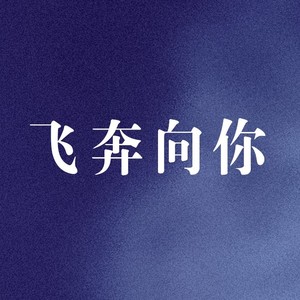 飞奔向你