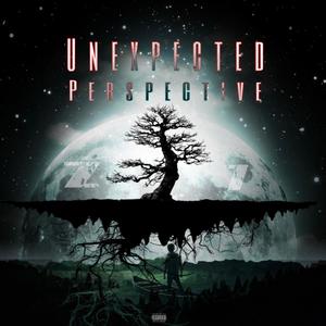 Unexpected Perspective (Explicit)