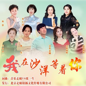 我在沙洋等着你