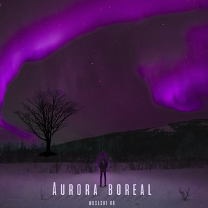 Aurora Boreal