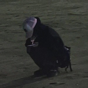 该 变