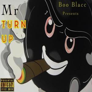 Mr. Turn Up (Explicit)