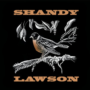 Shandy Lawson