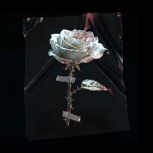 Обратно (Explicit)